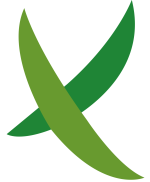 logo trazado transparente sin texto